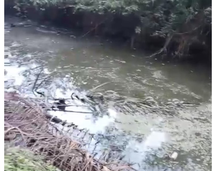 "Masyarakat Desa Terang Bulan Kabupaten Labuhan Batu Utara  Memohon Keadilan"