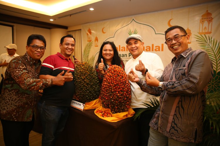 Topaz: Bibit Sawit Unggul dari Asian Agri untuk Andalan Petani Kelapa Sawit