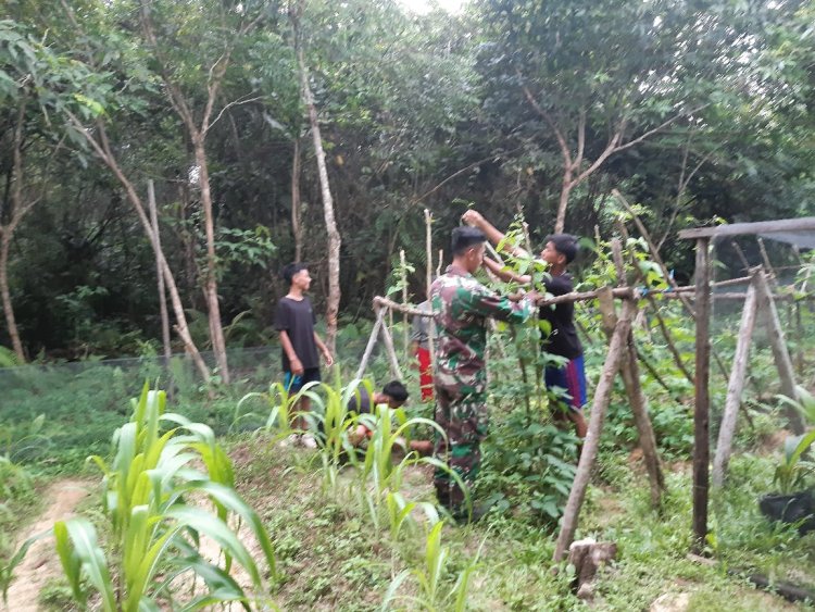 Remaja Rumah Singgah, bersama Satgas Pamtas RI-Malaysia Yonzipur 5/ABW, memperkenalkan Program Berkebun untuk Ketahanan Pangan.