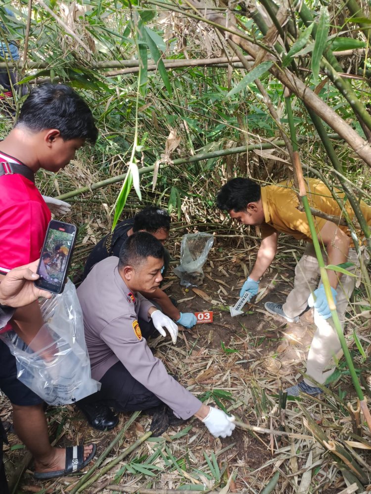 Tengkorak Manusia Ditemukan di Kebun Sawit, Polisi Minta Warga yang Kehilangan Anggota Keluarga Segera Melapor