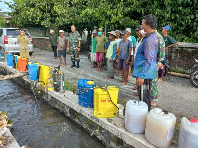 Babinsa dan Petani Bendosari Semprot Hama Padi