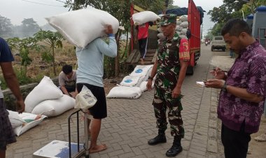 Babinsa Trenggalek Kawal 16 Ton Gabah