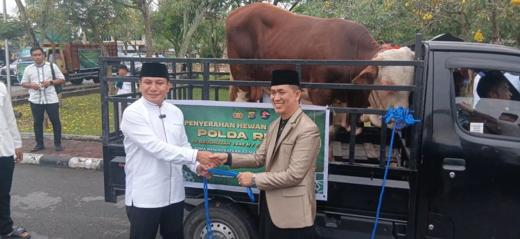 Polda Riau Berkurban 151 Ekor Sapi dan 48 Ekor Kambing Pada Idul Adha 1446 H, Hewan Kurban Dibagikan Untuk Personil, Hingga Masyarakat