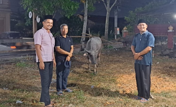 14 Kerbau Disembelih di Masjid Nurul Haq Pekanbaru