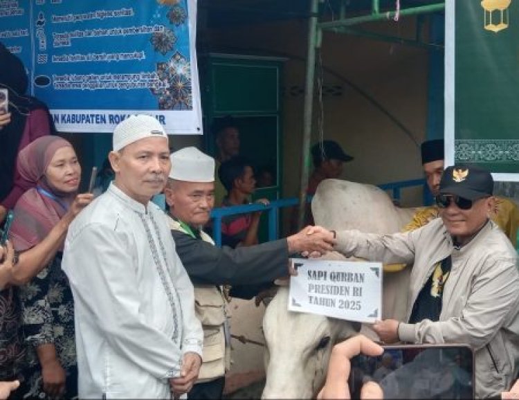 Sapi Kurban Presiden Prabowo Diserahkan ke Warga Bagan Hulu
