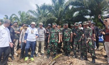 Lestarikan Hutan TNTN: TNI Tegaskan Komitmen Selamatkan Alam