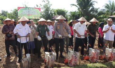 Kapolres Aceh Barat Pimpin Tanam Jagung Kuartal III