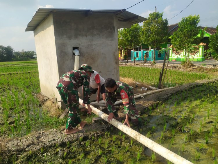 Babinsa Bantu Pasang Pipa Irigasi, Sawah Petani Sragen Lancar