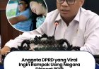 PDI-P Resmi Pecat Wahyudin Moridu Usai Ucapkan “Rampok Uang Negara”