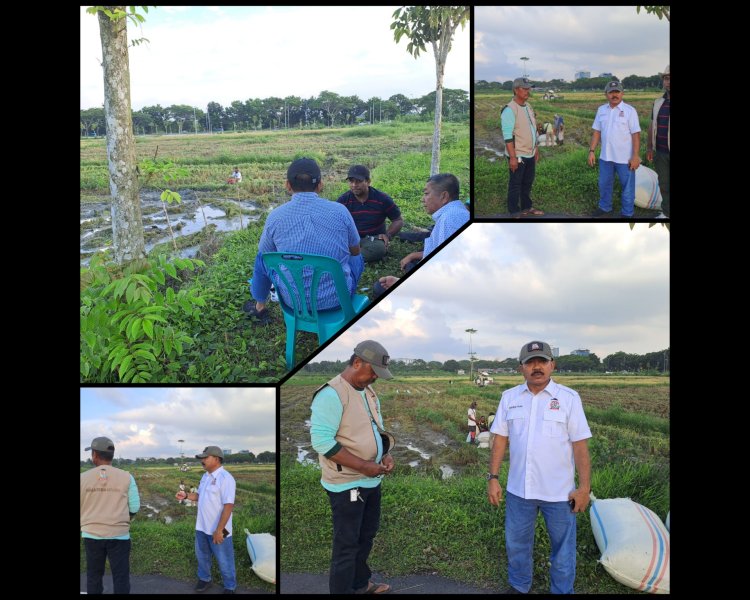 Tani Merdeka Deli Serdang Sulap Lahan Kosong Jadi Lumbung Pangan