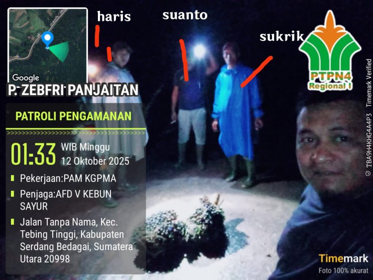 Whistleblower Pencurian TBS Gunung Pamela Di-PHK, Dirut PTPN 4 Diminta Turun Tangan
