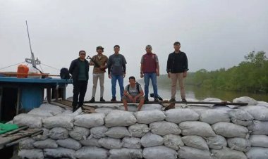 Polda Riau Tangkap Cukong Arang Bakau Ilegal di Meranti