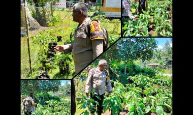 Bhabinkamtibmas Rangsang Barat Tinjau Pekarangan Pangan Bergizi Warga di Meranti